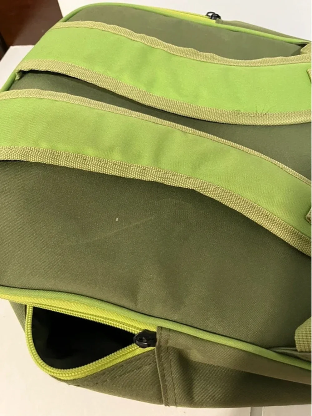 Lakeshore Scenic Dinosaur Fold Out Play Mat Green Children’s Kids Backpack